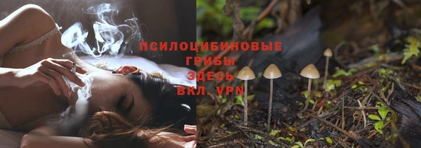тгк Алексин