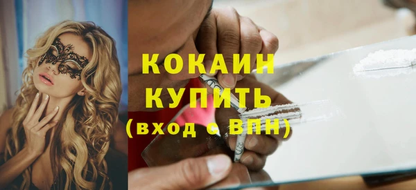 тгк Алексин