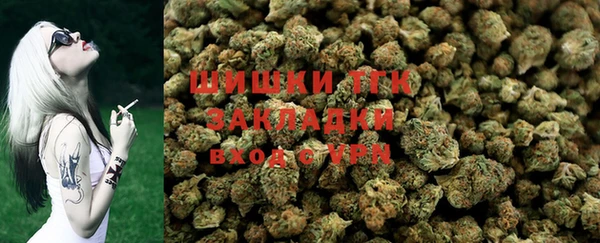 тгк Алексин