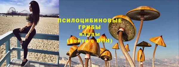 прущий лед Костерёво