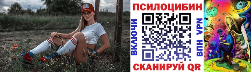 Галлюциногенные грибы мицелий  Томск 