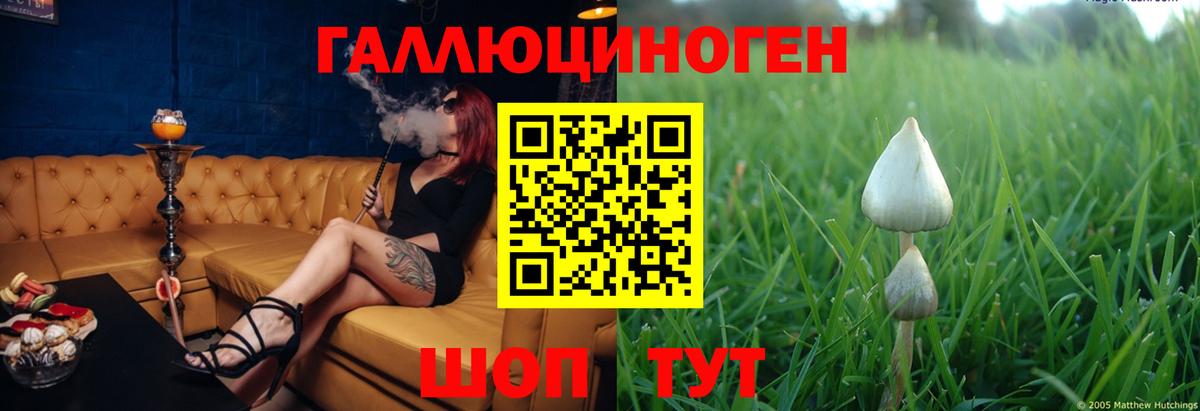 Томск  Псилоцибиновые грибы Cubensis  где можно купить   Вход с VPN  Галлюциногенные грибы мицелий 